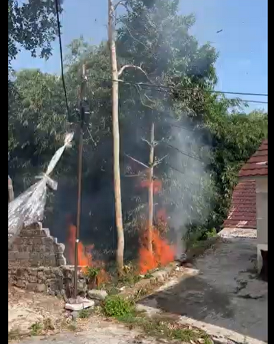 BPBD Wonosobo Tangani Kebakaran Hutan Seluas 1,22 Hektar di Kalikajar, Imbauan Waspada Karhutla Ditingkatkan