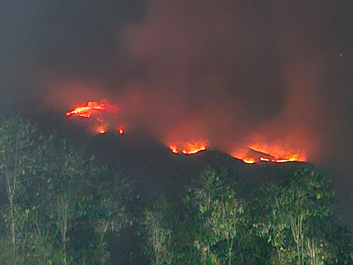 KEBAKARAN HUTAN TERJADI DI GUNUNG SUMBING, 152 PENDAKI BERHASIL DIEVAKUASI