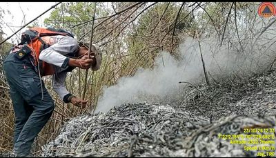 KEBAKARAN HUTAN GUNUNG SUMBING DI WILAYAH WONOSOBO DINYATAKAN PADAM, LUAS TERBAKAR MENCAPAI 362 HEKTARE