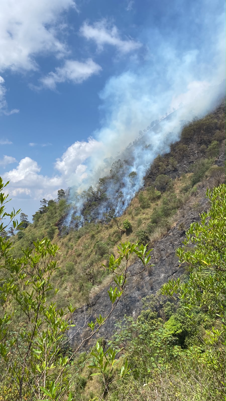 Kebakaran Hutan Gunung Sumbing Meluas, Tim Gabungan Lakukan Pemantauan dan Penanganan Berkala