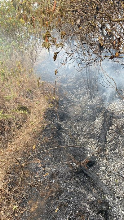 Kebakaran Hutan Gunung Sumbing Meluas, Tim Gabungan Lakukan Pemantauan dan Penanganan Berkala