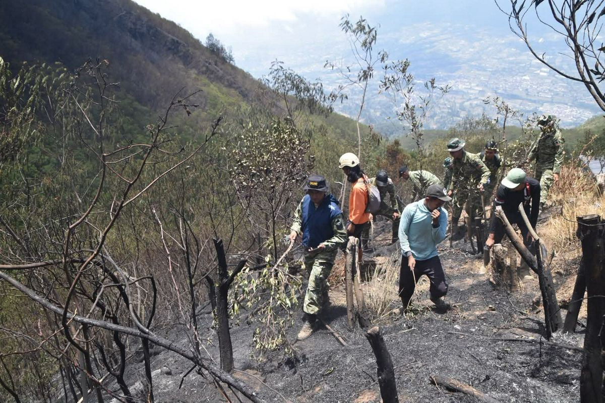 Kebakaran Hutan Gunung Sumbing Meluas, Tim Gabungan Lakukan Pemantauan dan Penanganan Berkala
