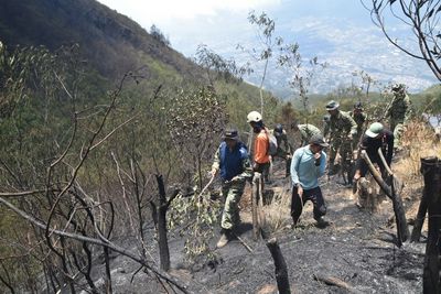 Kebakaran Hutan Gunung Sumbing Meluas, Tim Gabungan Lakukan Pemantauan dan Penanganan Berkala
